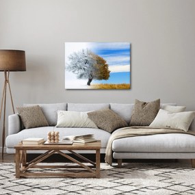 Obraz - Zmiana pór roku (70x50 cm)
