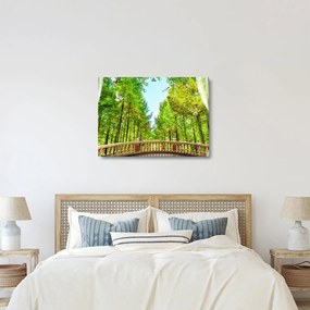 Obraz - Widok na las (70x50 cm)