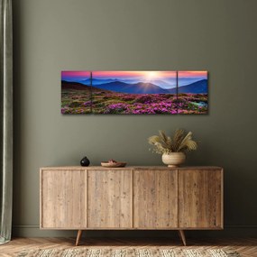 Obraz - Krajobraz kwitnących gór (170x50 cm)