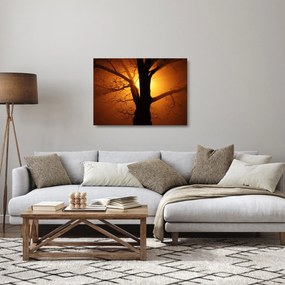 Obraz na szkle - drzewo o zachodzie słońca (70x50 cm)