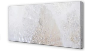 Fotoobraz na płótnie Abstrakcyjny Motyw Dmuchawca