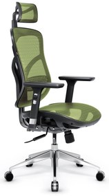 Fotel ergonomiczny Diablo V-Basic, czarno-zielony