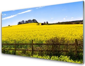 Szkło Ozdobne do Kuchni Bezkres Złocistych Pól