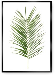 Plakat Palm Leaf Green