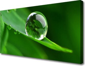 Zdjęcie na płótnie Krople Rosy na Liściu