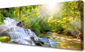 Obraz canvas na ścianę Leśny Potok i Wodospad