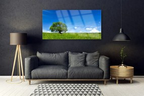 Obraz na Szkle Trawa Drzewo Natura