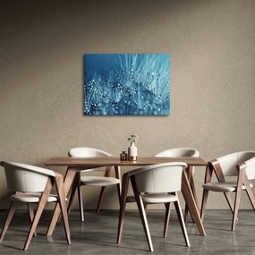Obraz - Krople rosy (70x50 cm)