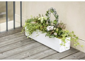 Plastia Skrzynka na kwiaty samonawadniająca Berberis 60, biały + zielony, 60 cm