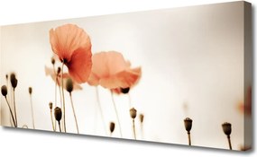 Obraz canvas Klasyczne Czerwone Maki