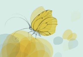 Fototapeta - Motyl (196x136 cm)
