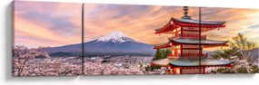 Obraz - Fuji (170x50 cm)