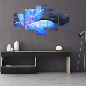 Obraz szczegółu kwiatu (125x70 cm)