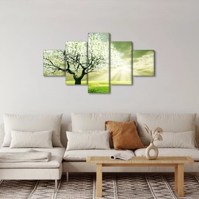 Obraz drzewa na łące (125x70 cm)