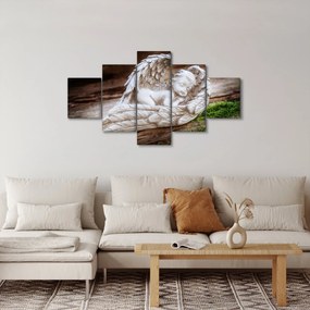 Obraz - Śpiący anioł (125x70 cm)