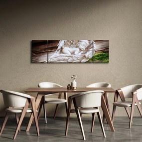 Obraz - Śpiący anioł (170x50 cm)