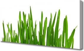 Obraz na płótnie Soczysta Trawa - Detal