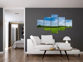 Obraz łąki (125x70 cm)