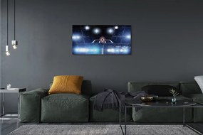 Obraz drukowany na płótnie Kosz W Blasku Reflektorów