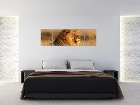 Obraz - Park Narodowy Etosha (170x50 cm)
