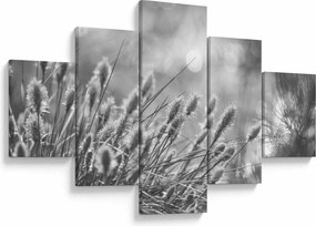 Obraz - Beżowa miękka trawa N⁰1 (125x70 cm)
