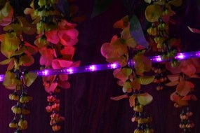 LED świetlny kabel - 240 diod, 10 m, różowy