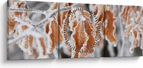 Obraz - Zamarznięte liście (z zegarem) (90x30 cm)