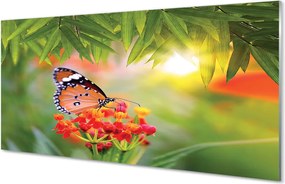 Panel nad Blat Kuchenny Motyl wśród Polnych Kwiatów