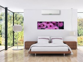 Obraz różowych kwiatów (170x50 cm)
