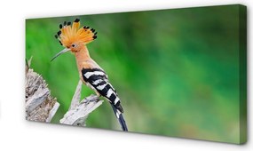 Duży obraz na płótnie Papuga na Drzewie