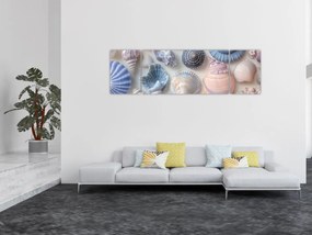 Obraz - Kolekcja muszli (170x50 cm)