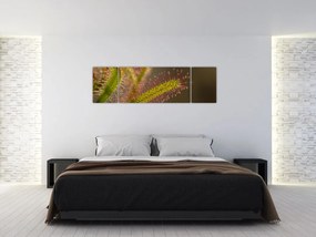 Obraz rośliny (170x50 cm)