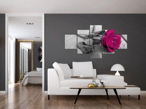 Obraz - Różowa róża (125x70 cm)