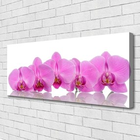 Obraz Canvas Różowa Orchidea Kwiaty