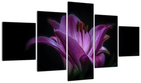 Obraz lilii (125x70 cm)