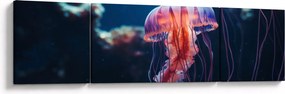 Obraz - Meduza (170x50 cm)