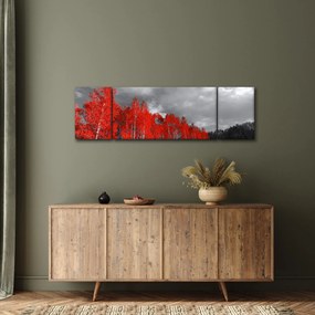 Obraz - Drzewa w kolorze jesieni (170x50 cm)