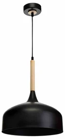 Lampa wisząca, czarna, pojedyncza TAYLOR BLACK 1xE27 60W