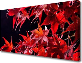 Obraz canvas Organiczna Tekstura Liści