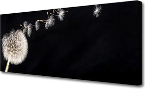 Obraz canvas Lekkość Polnego Dmuchawca