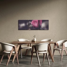 Obraz - Detal kwiatu róży (z zegarem) (90x30 cm)