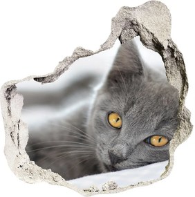 Dziura 3d fototapeta naklejka Szary kot