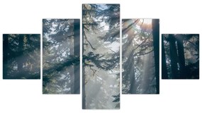 Obraz drzew, przez które prześwieca słońce (125x70 cm)