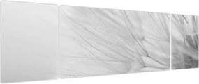 Obraz - Mniszek lekarski (170x50 cm)