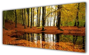 Obraz Akrylowy Las Natura Drzewa