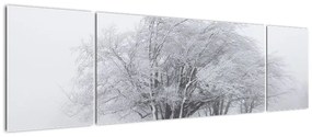 Obraz - Biała zima (170x50 cm)