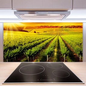 Szkło do Kuchni na Ścianę Złociste Pole o Poranku