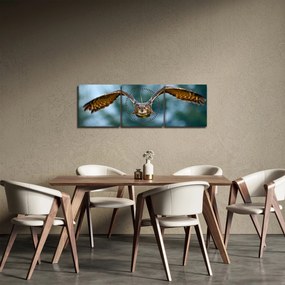 Obraz - Sowa w locie (z zegarem) (90x30 cm)