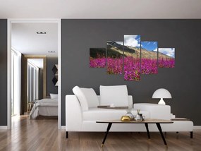 Obraz scenerii łąki górskiej (125x70 cm)