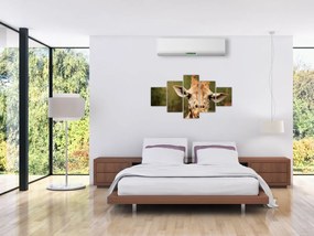 Obraz żyrafy (125x70 cm)